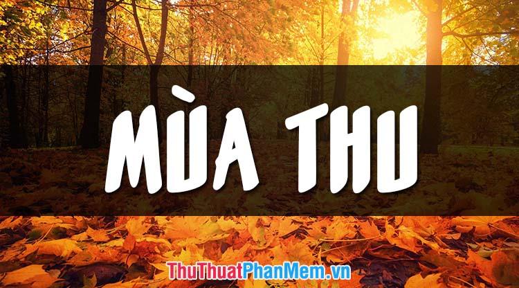 Những hình ảnh mùa thu đẹp và lãng mạn nhất