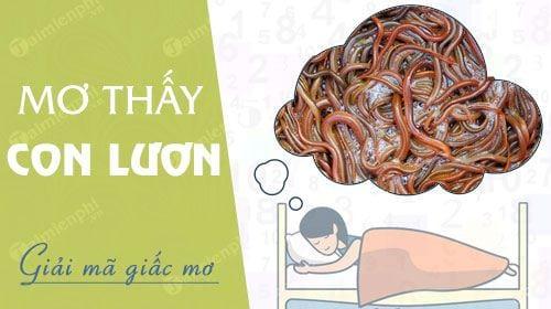 Nằm mơ thấy con lươn