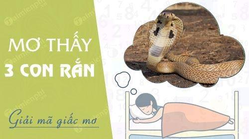 Bí mật của Giấc Mơ Nằm Thấy 3 Con Rắn