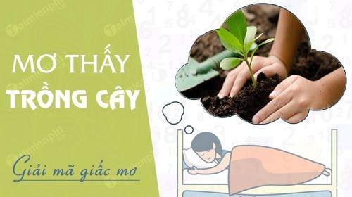 nam mo thay trong cay trong rau trong hoa