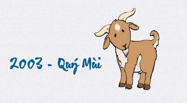 Sinh năm 2003 tuổi gì