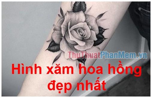 Nghệ thuật xăm hình hoa Hồng - Top những mẫu hình xăm hoa Hồng đẹp nhất