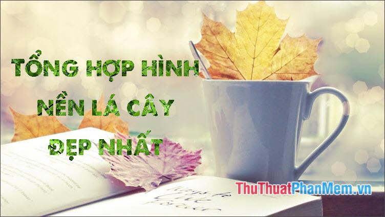 Tổng hợp hình nền lá cây đẹp nhất