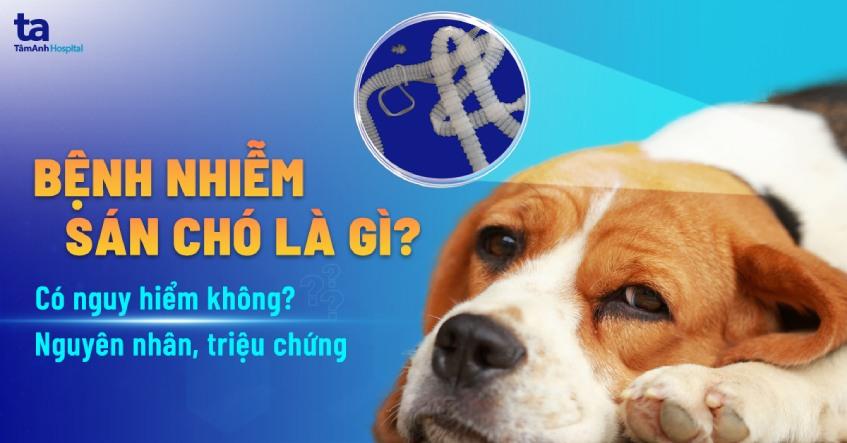 bệnh nhiễm sán chó