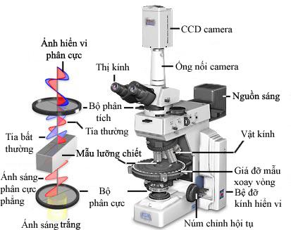 bai-19-cac-chat-duoc-cau-tao-nhu-the-nao-1