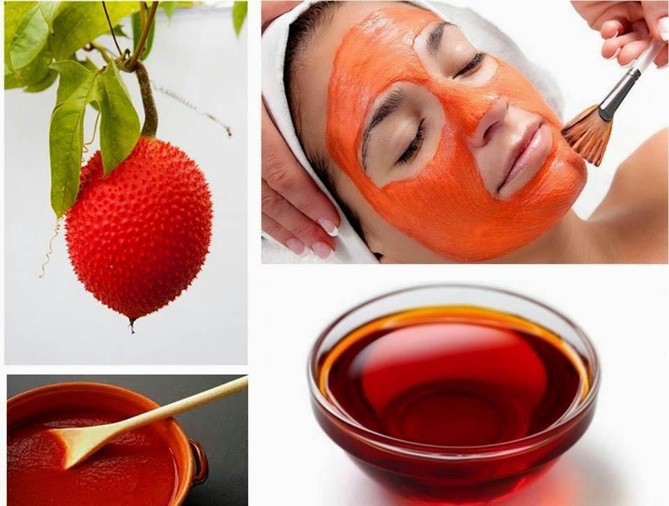 Ảnh minh họa. Đồ họa: Thúy Vi