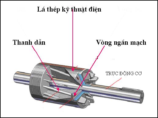 động cơ roto lồng sóc