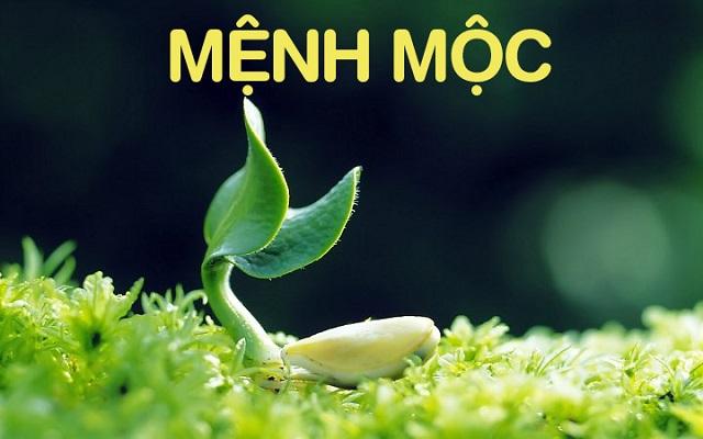 Sơ lược về người mệnh Mộc