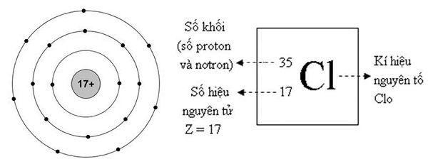 Clo là gì? Cl là kim loại hay phi kim? Tính chất của Clo