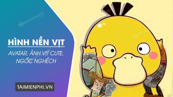 hinh nen vit avatar anh vit cute ngoc nghech