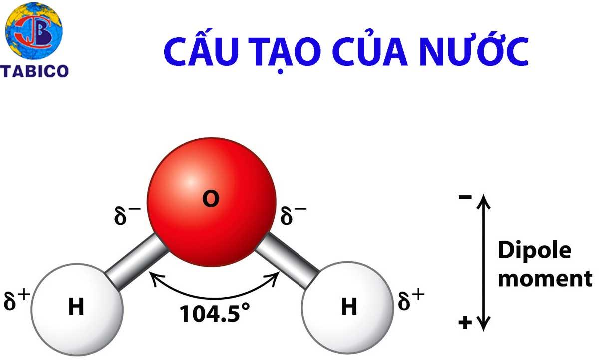 nuoc tham gia cac phan ung hoa hoc