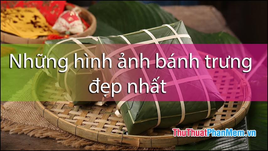 Bánh chưng trong vẻ đẹp tuyệt vời