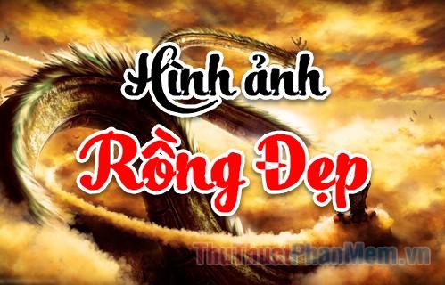 Tổng hợp hình ảnh con rồng đẹp nhất