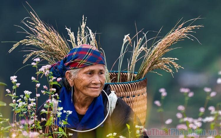 Hình ảnh người mẹ già tần tảo đẹp và ý nghĩa