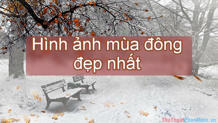 Tổng hợp những hình ảnh mùa đông đẹp nhất