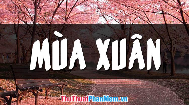 Những hình ảnh mùa xuân thiên nhiên đẹp nhất