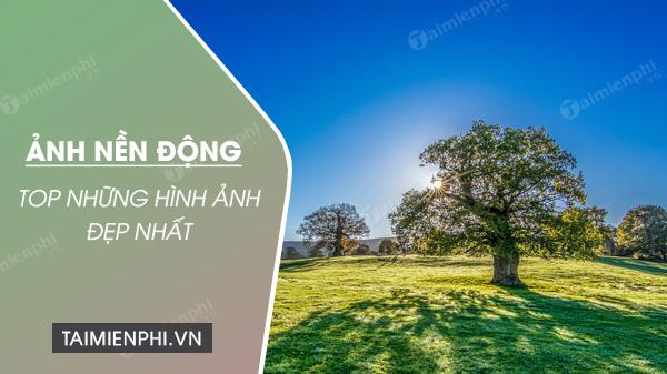 Khám phá thế giới hình nền động đẹp, dễ thương, và sáng tạo với ...