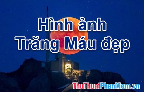 Bức tranh Trăng Máu - Tuyển chọn hình ảnh đẹp nhất về hiện tượng này