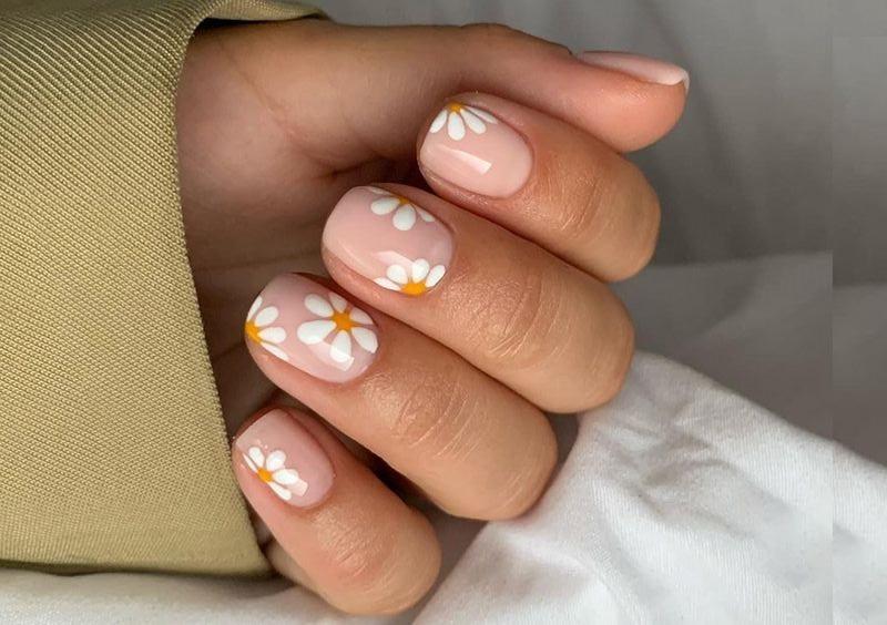 mẫu nail hoa cúc 1