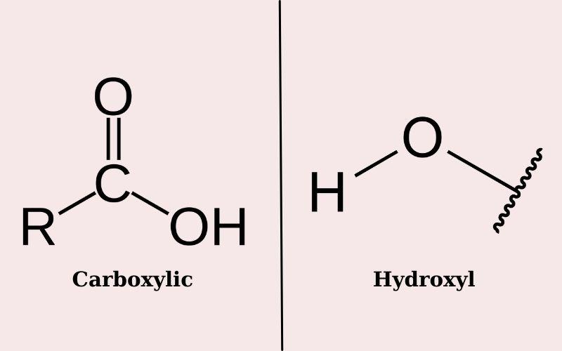 AHA, PHA, LHA và BHA đều có 2 nhóm chức Carboxylic và Hydroxyl