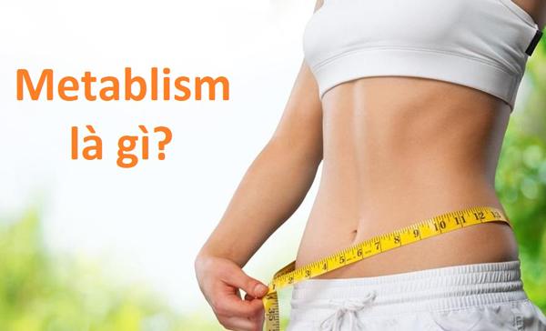 Metabolism là gì?