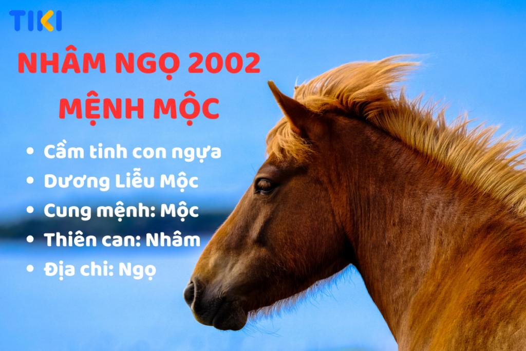 Nhâm Ngọ 2002 mệnh là gì? Hợp với màu nào, tuổi nào, và hướng nào là lựa chọn tốt?