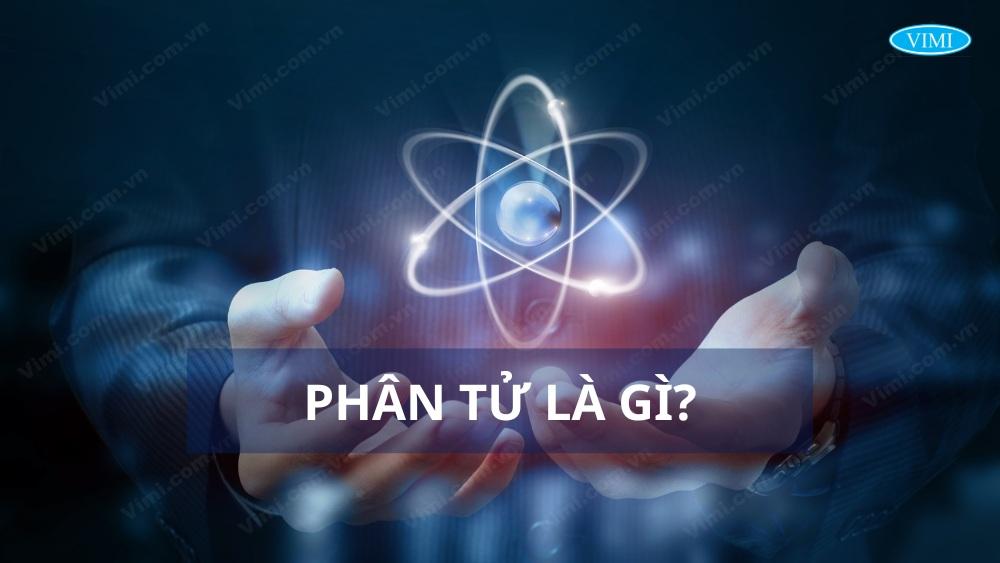 phân tử là gì