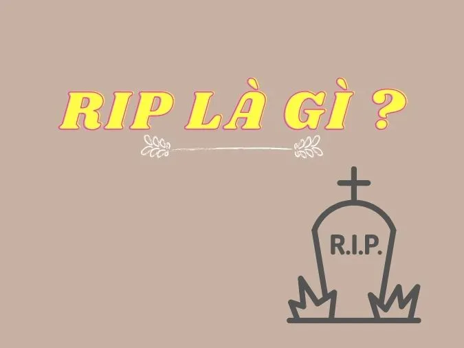 Rip là gì mà được mọi người sử dụng rộng rãi trên mạng xã hội 1