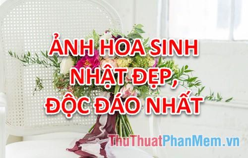 Tổng hợp ảnh hoa sinh nhất đẹp, độc đáo nhất