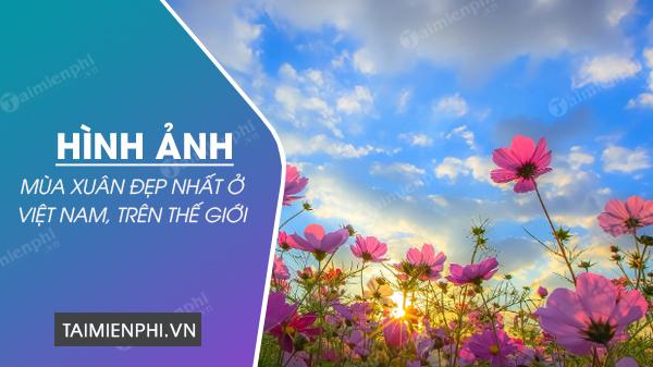 Bộ sưu tập hình ảnh mùa xuân tuyệt đẹp tại Việt Nam và trên thế giới