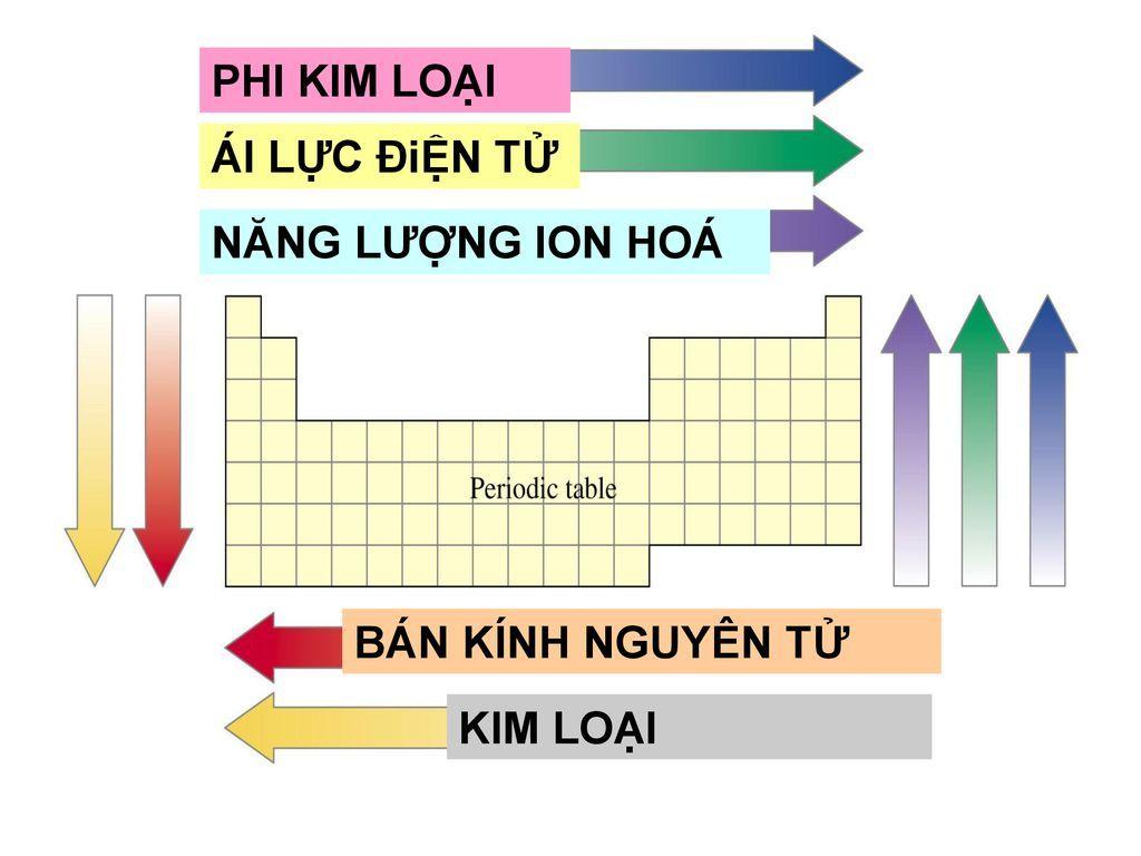 Các nguyên tố trong bảng tuần hoàn các nguyên tố hóa học được sắp xếp theo thứ tự tăng dần của….? Những điều các bạn học sinh cần ghi nhớ