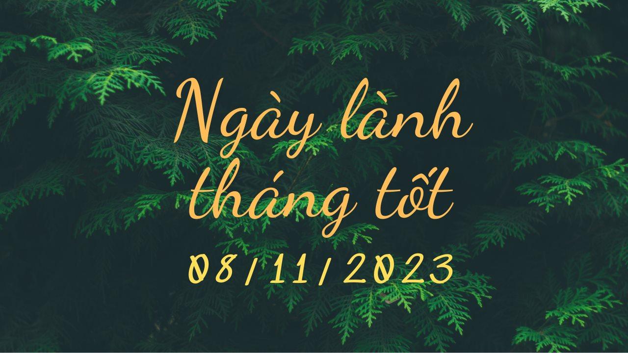 xem-ngay.png