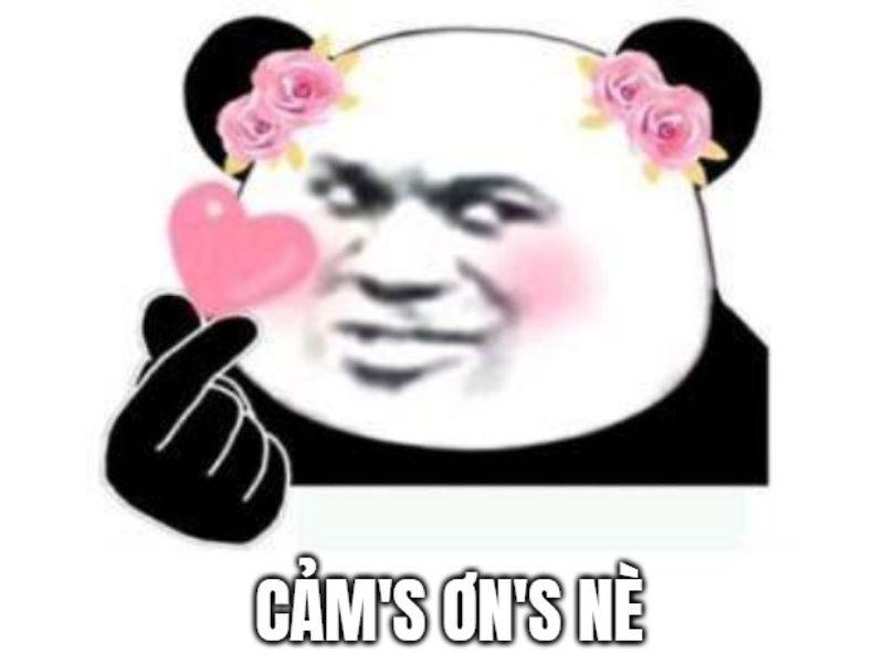 25-anh-meme-cam-on-cute-meme-cam-on-ca-khia-cuc-manh-1396