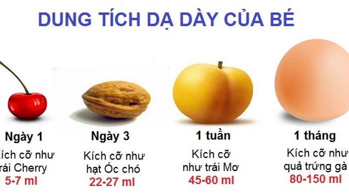 kích thước dạ dày bé