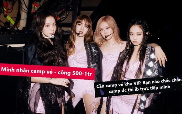 Camp vé là gì?