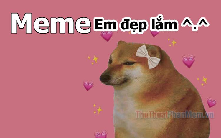 Meme vô cùng dễ thương - Tổng hợp những hình ảnh hài hước về vẻ đẹp đỉnh cao