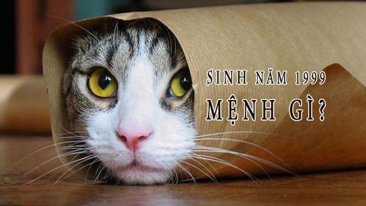 Sinh năm 1999 mệnh gì?