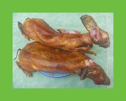 hướng dẫn làm thịt thỏ xào lăn ngon