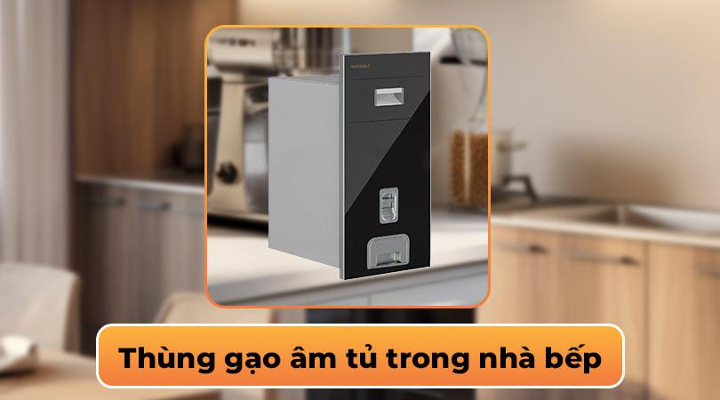 Thùng gạo âm tủ