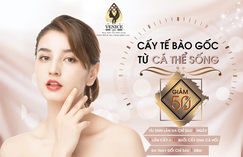 banner spa