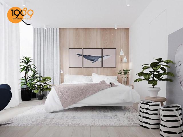 công dụng cây xanh trong phòng ngủ