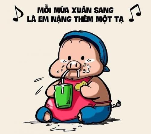 999+ Hình ảnh vui nhộn hài hước mới nhất cười vỡ bụng