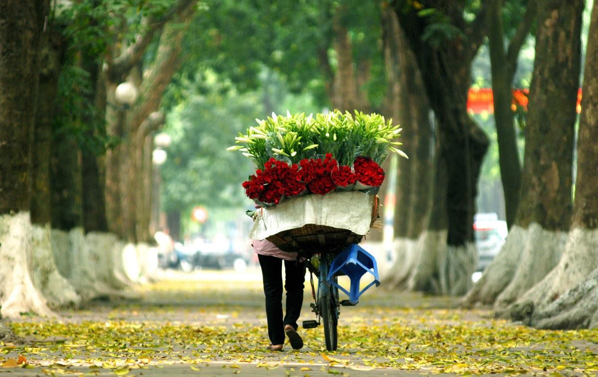 Những bài thơ hay về mùa thu