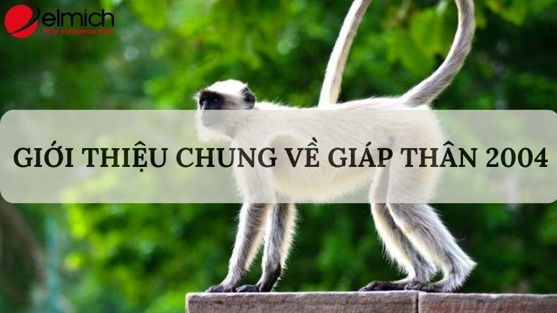 Giải mã chi tiết Giáp Thân 2004 hợp tuổi gì trong làm ăn và hôn nhân