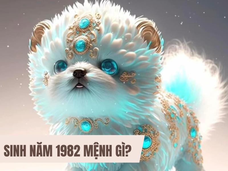 Sinh năm 1982 mệnh gì?