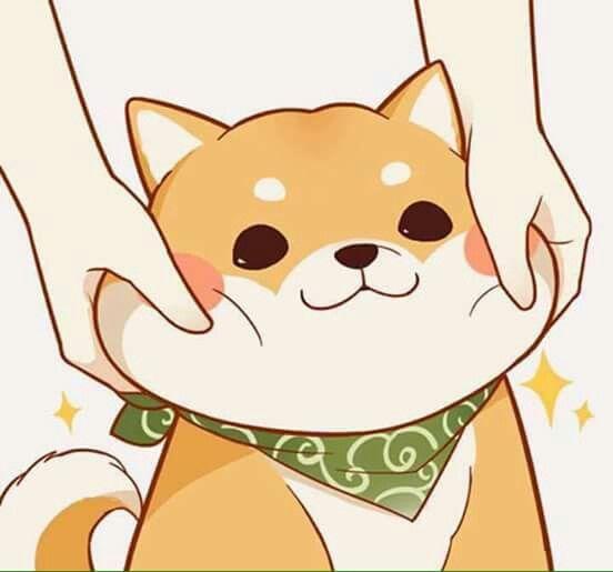Avatar chó shiba siêu cute