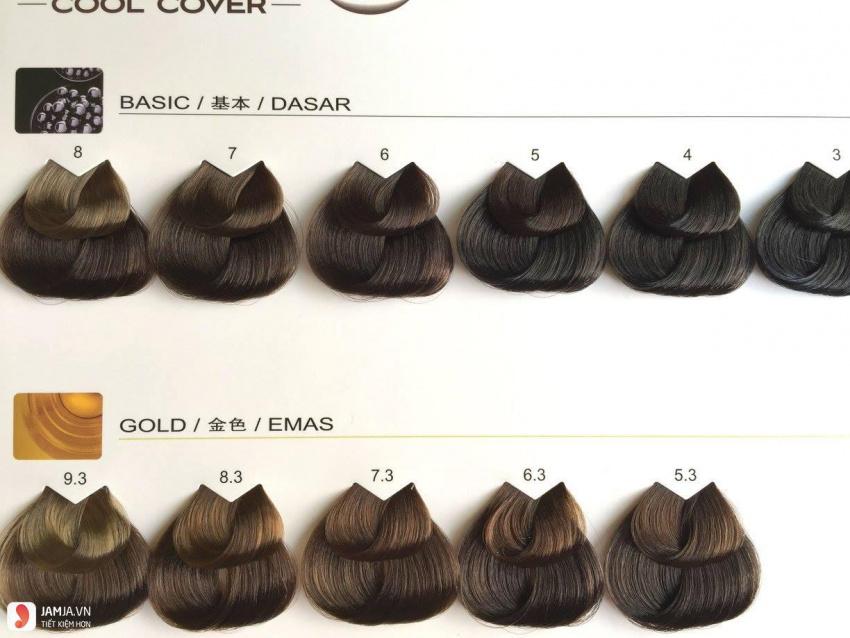 Bảng màu tuyệt vời nhất của thuốc nhuộm tóc L’oreal