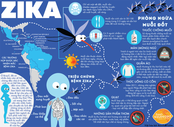 Ảnh minh họa thông tin về vi-rút Zika bao gồm: bản đồ, muỗi, các biểu tượng cảnh báo, và hướng dẫn phòng ngừa.