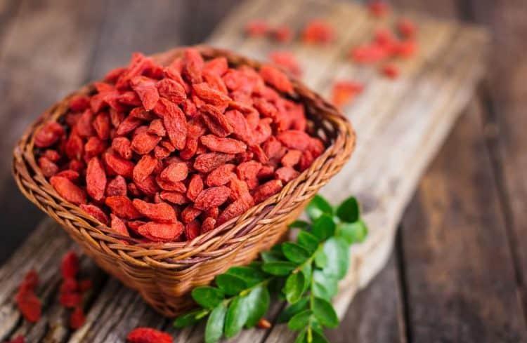 tác dụng của câu kỷ tử với sức khỏe: tăng cường miễn dịch