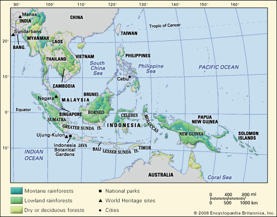 Rừng nhiệt đới ở Đông Nam Á. Ảnh: Encyclopædia Britannica, Inc.